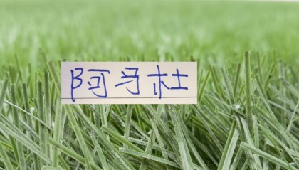 MK体育官方入口-想不到！连阿马杜离开申花 都引起争议 期待他在重庆穿10号表现吗
